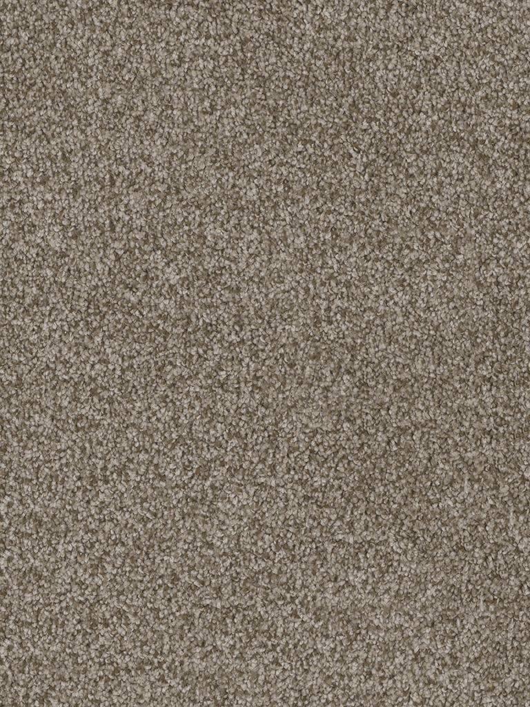 Carpeting Cost Less Carpet