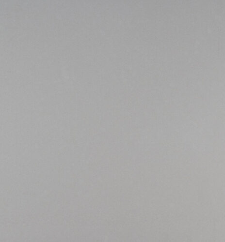 Rhino Snow Gray Quartz